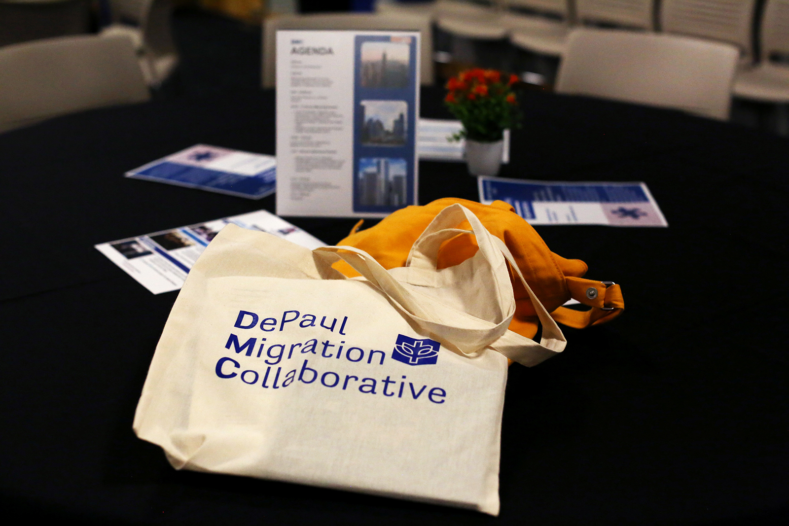 Tote bag and brochures on a table